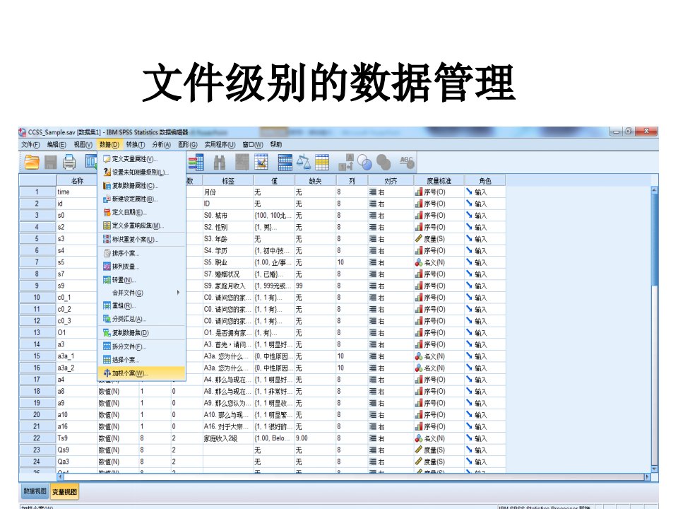 SPSS教学课件：数据管理4