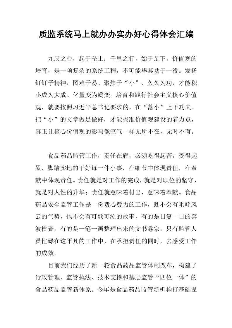 质监系统马上就办办实办好心得体会汇编.docx