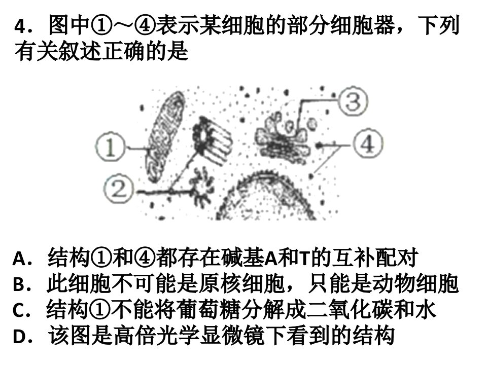 专题一细胞的物质和结构基础