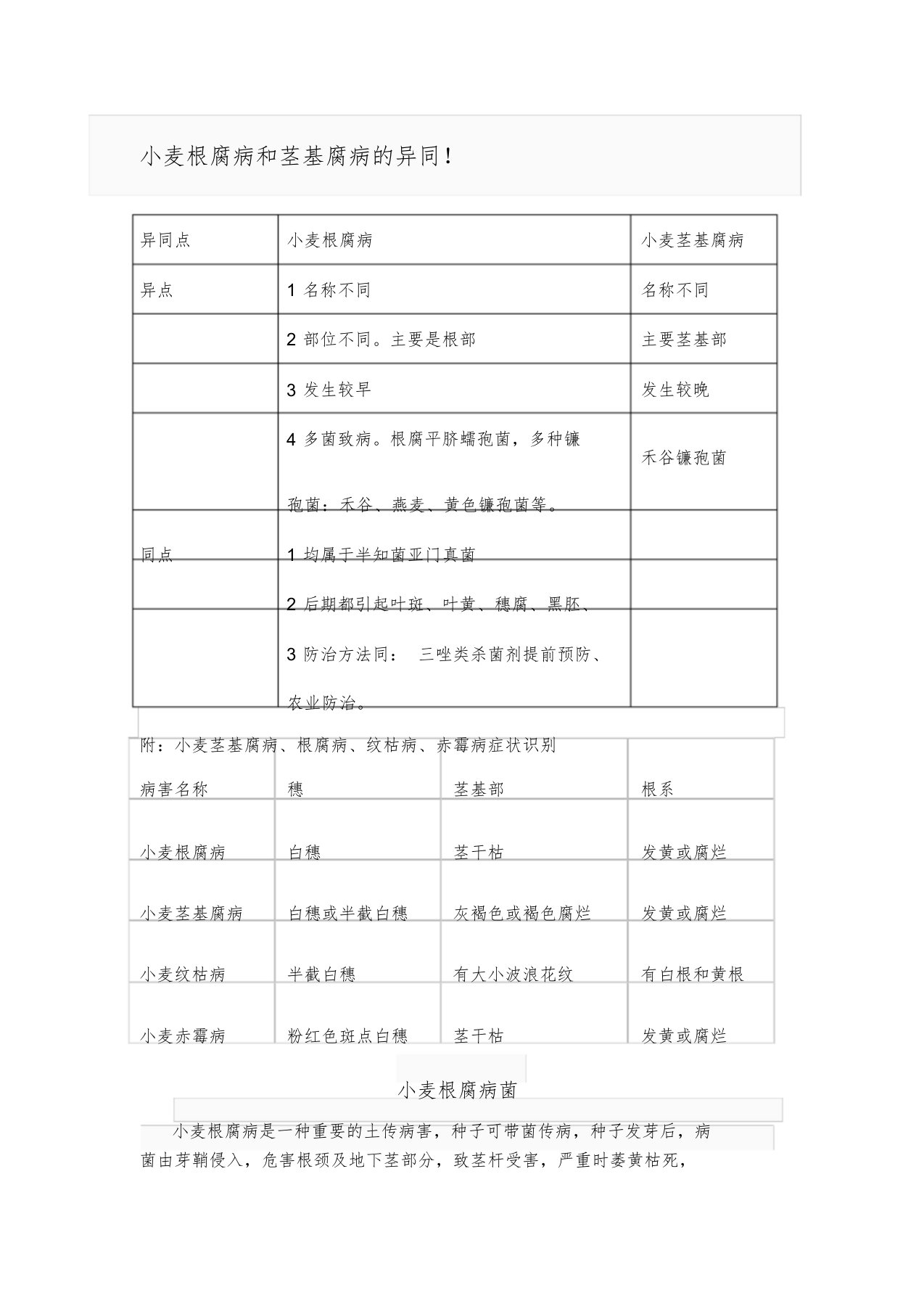 小麦根腐病和茎基腐病地异同