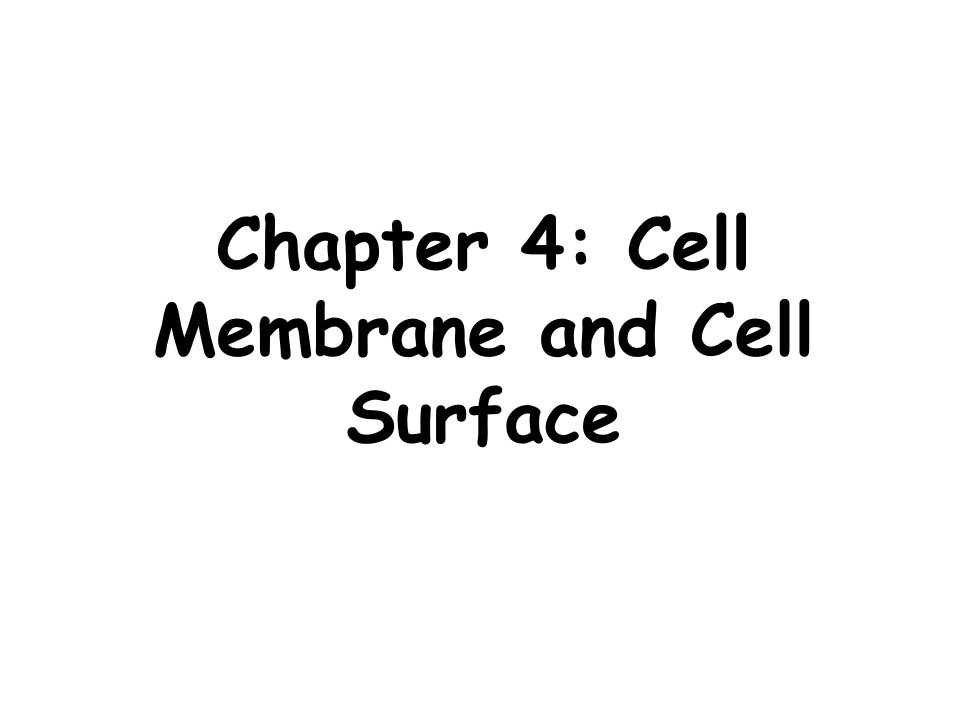 细胞生物学课件第4