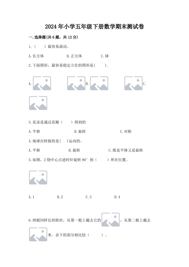 2024年小学五年级下册数学期末测试卷（考点精练）