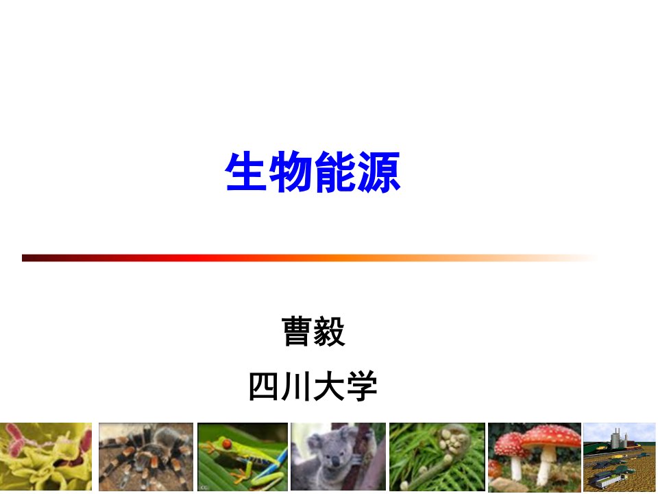 生物能源专题教育课件公开课一等奖市赛课获奖课件