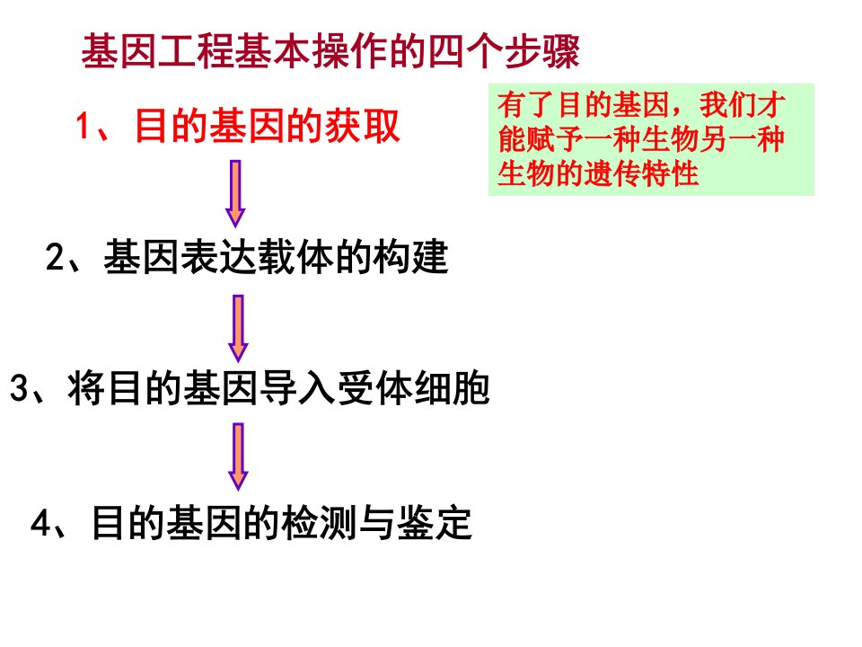 三少12基因工程的基本操作步骤