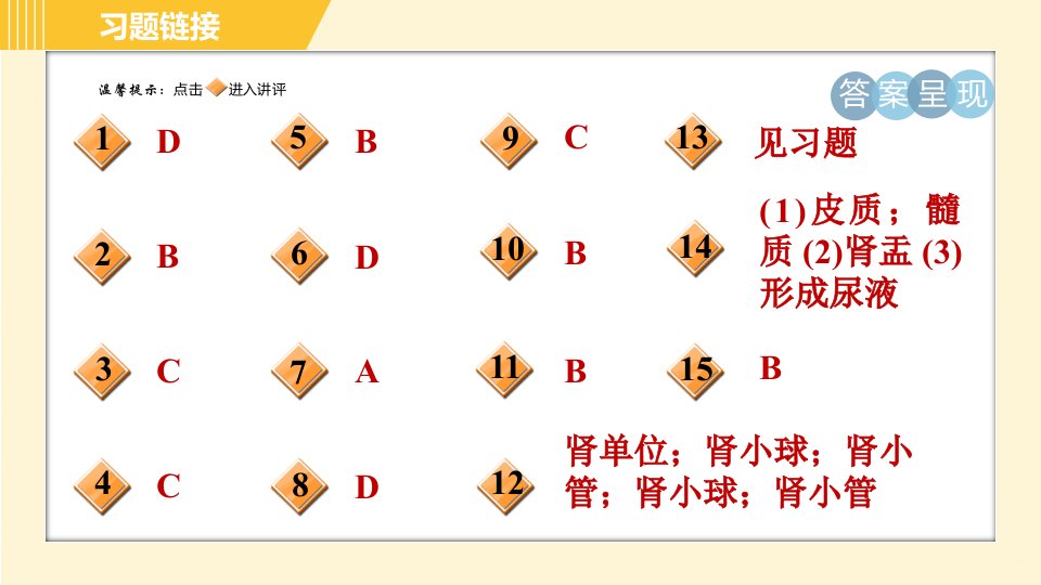 华师版B本八年级上册科学习题课件第5章5.4.1泌尿系统的结构