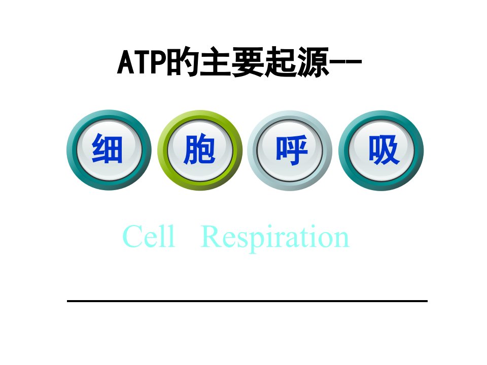 高一生物ATP的主要来源公开课获奖课件省赛课一等奖课件