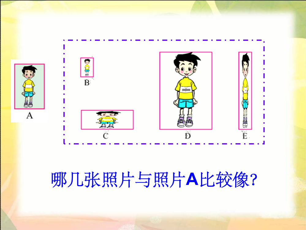 北师大版数学六年级上册生活中的比之四