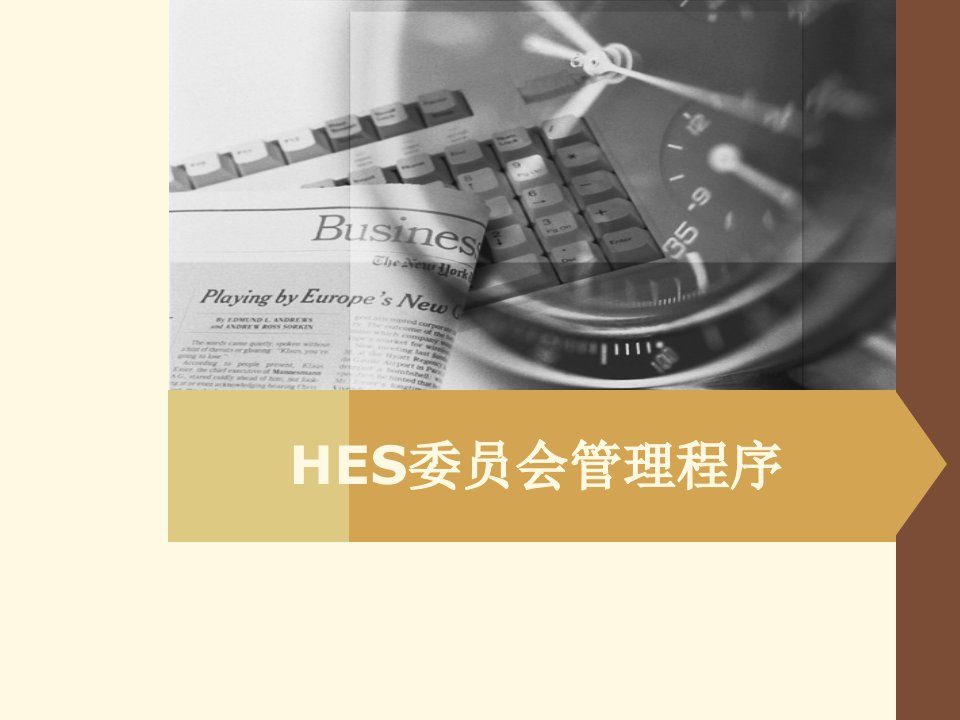 HSE委员会管理程序