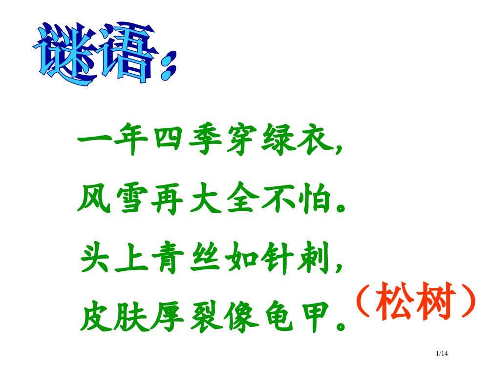 小松树和大松树第一课时市公开课一等奖省赛课微课金奖PPT课件