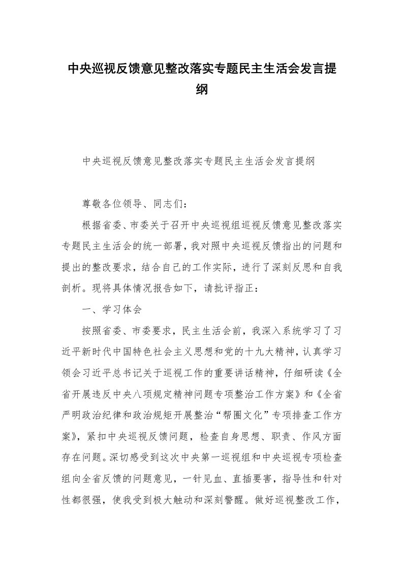 中央巡视反馈意见整改落实专题民主生活会发言提纲