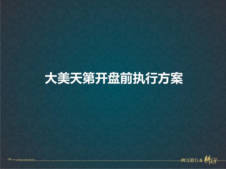 万联行耕天下某房地产企业大美天第开盘前执行方案