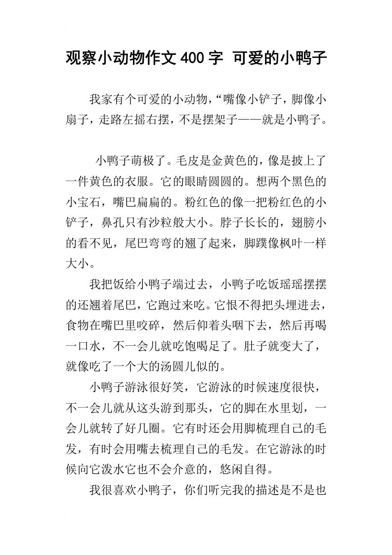 观察小动物作文400字可爱的小鸭子