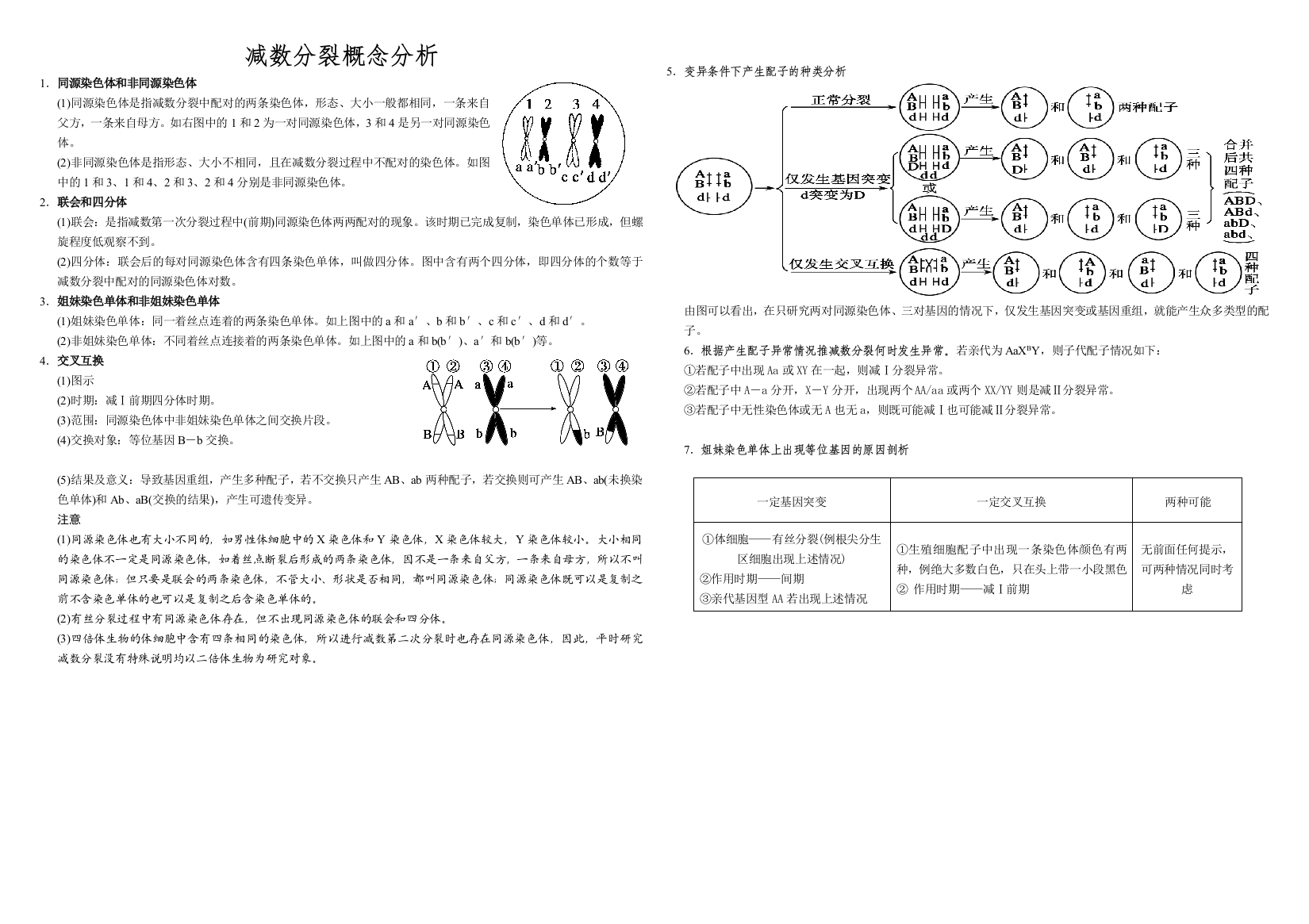 减数分裂概念辨析