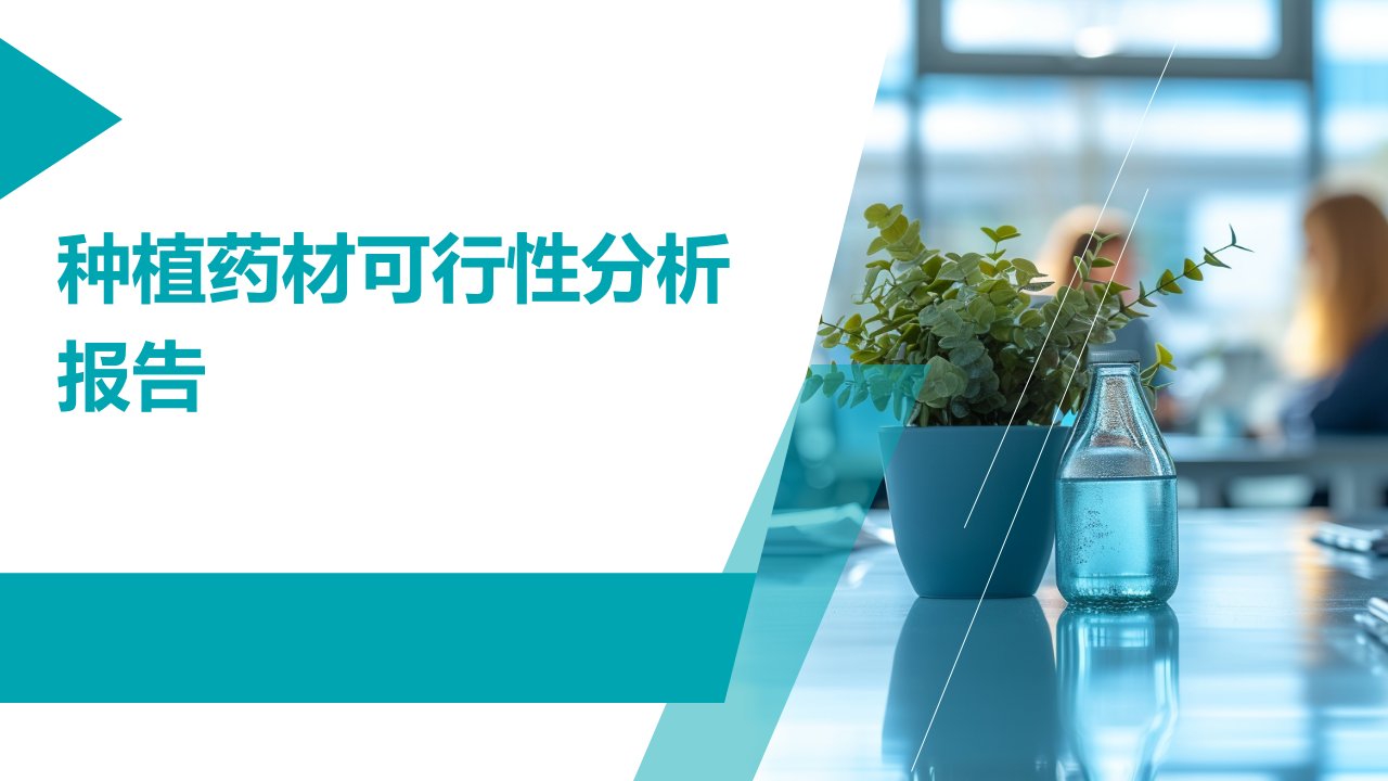 种植药材可行性分析报告