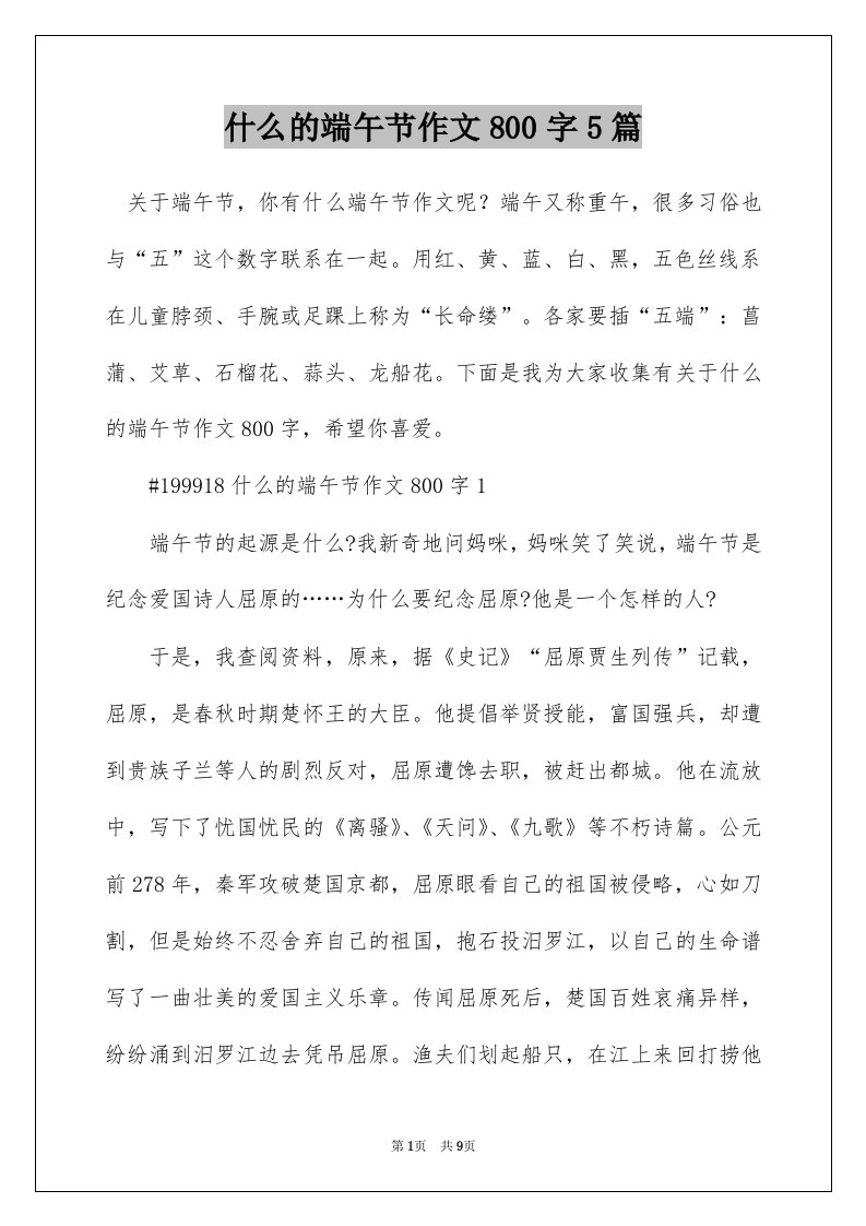 什么的端午节作文800字5篇