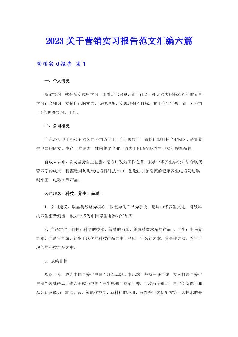 2023关于营销实习报告范文汇编六篇