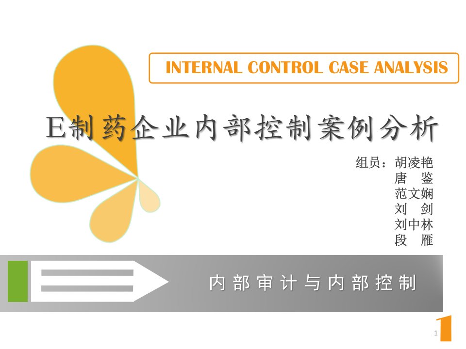 E制药企业内部控制案例分析解析课件