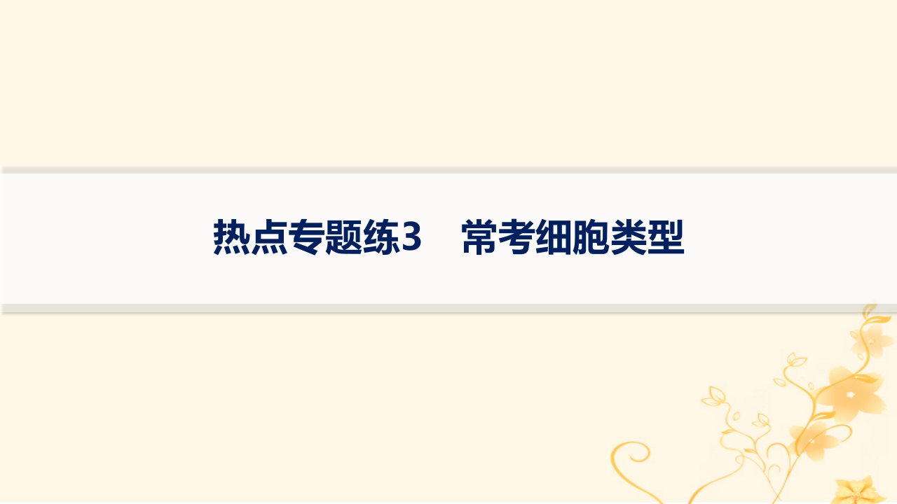 适用于新高考新教材2024版高考生物二轮复习热点专题练3常考细胞类型课件