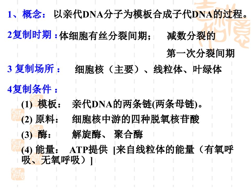 高二生物DNA复制