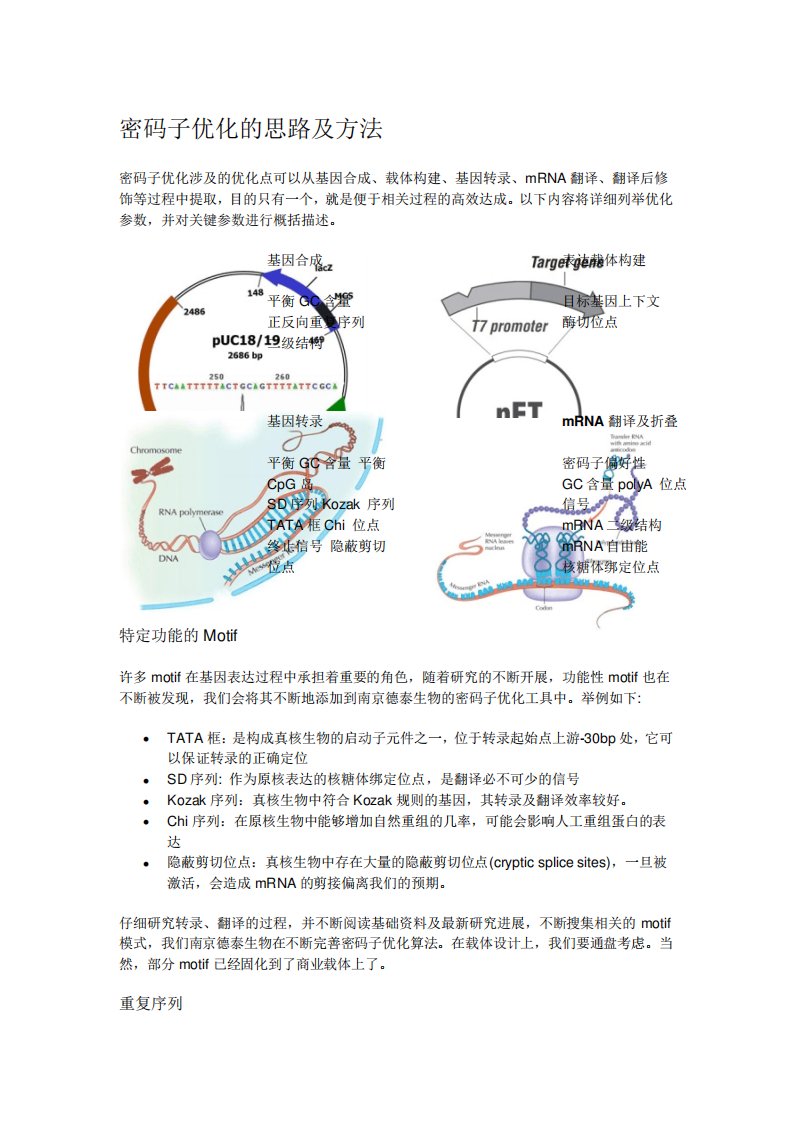 密码子优化的思路及方法