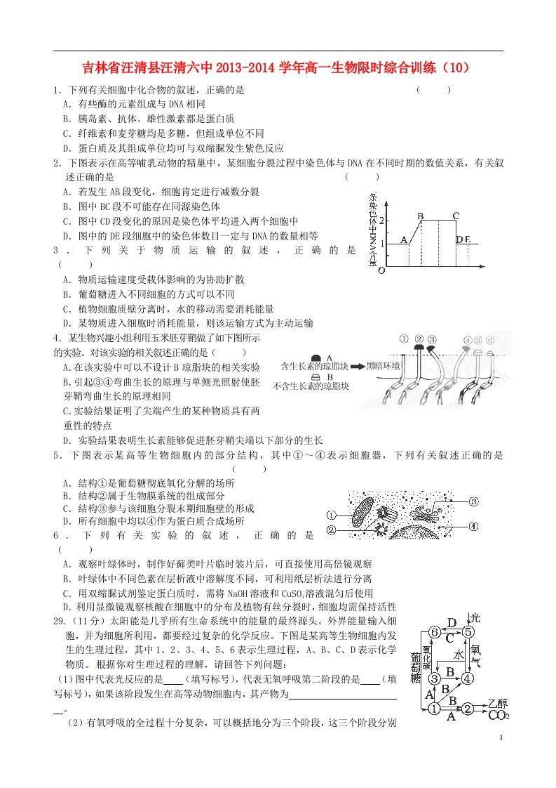 吉林省汪清县汪清六中高一生物限时综合训练（10）