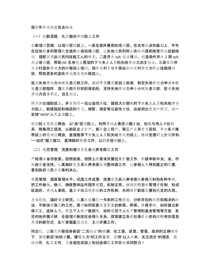 保险年终总结报告及小结