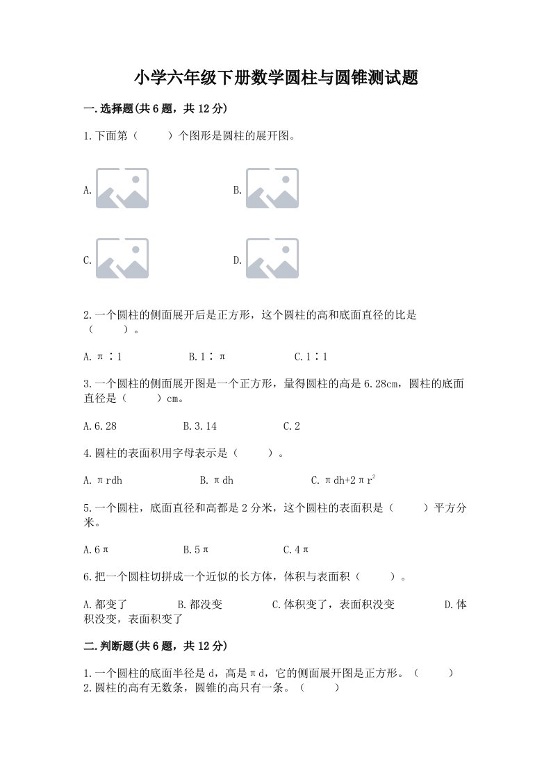 小学六年级下册数学圆柱与圆锥测试题审定版