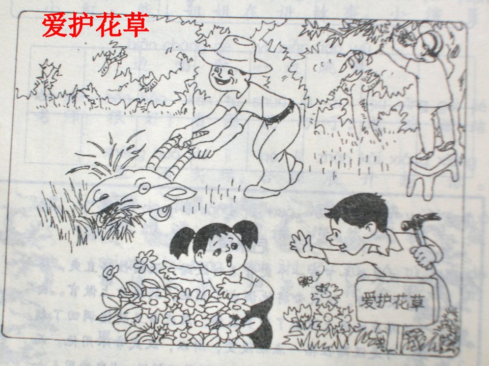 小学二年级看图写话集(精品)