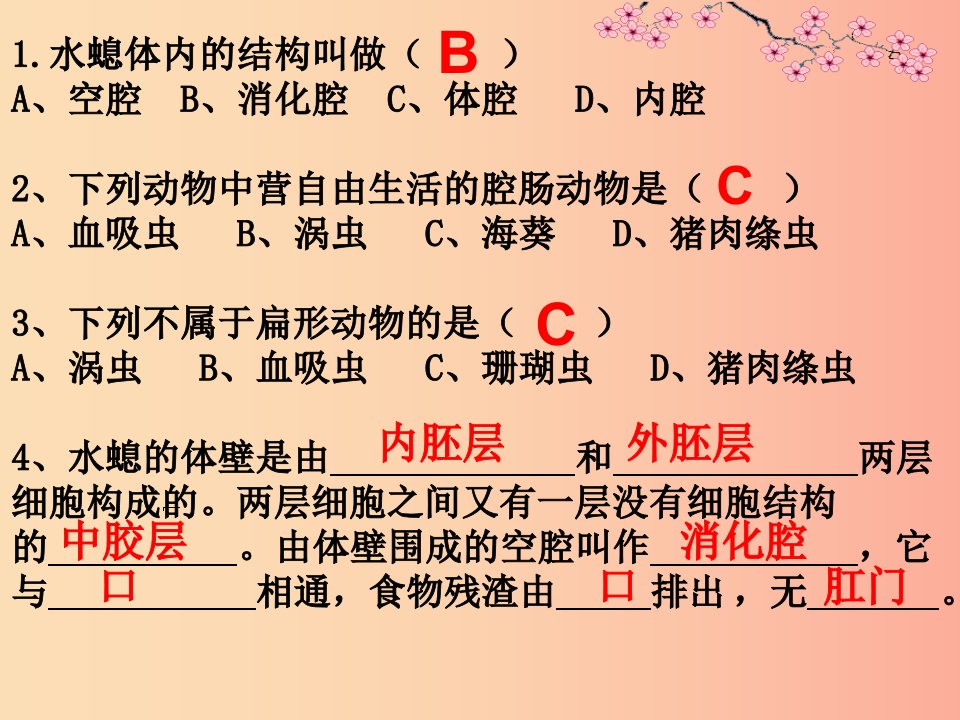 八年级生物上册5.1.2线形动物和环节动物课件2