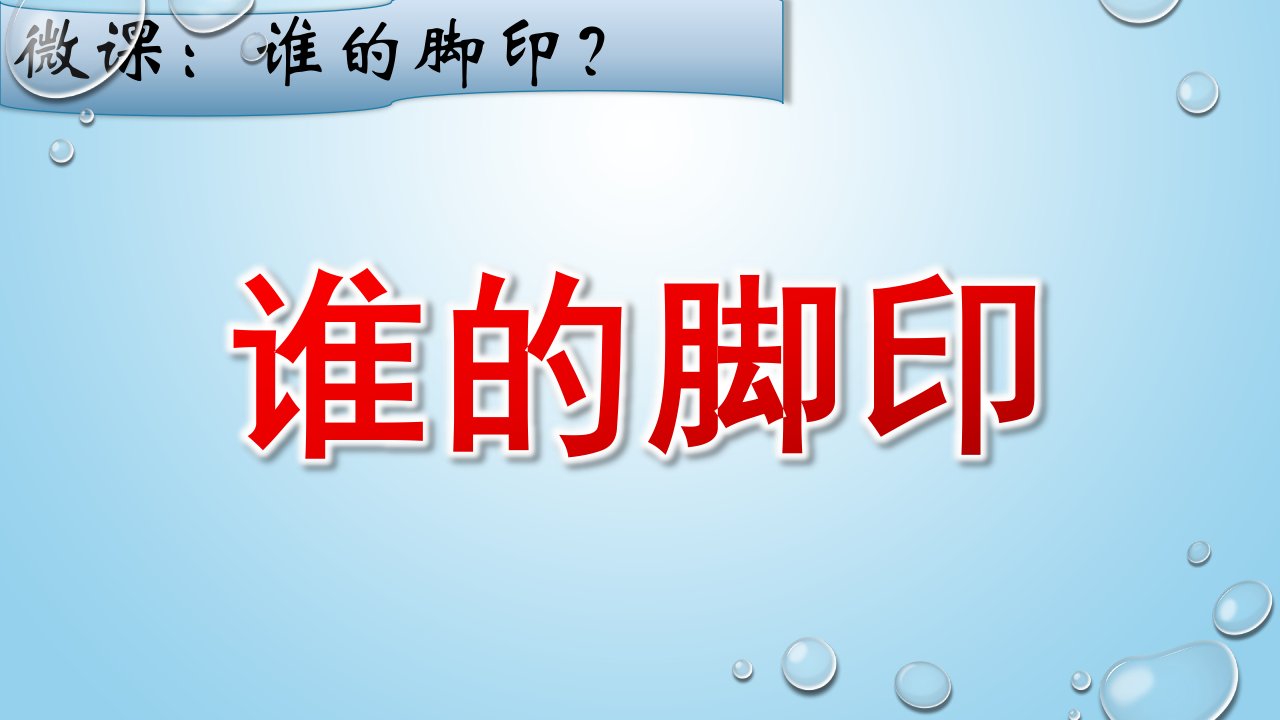 小班科学《谁的脚印》PPT课件教案微课件