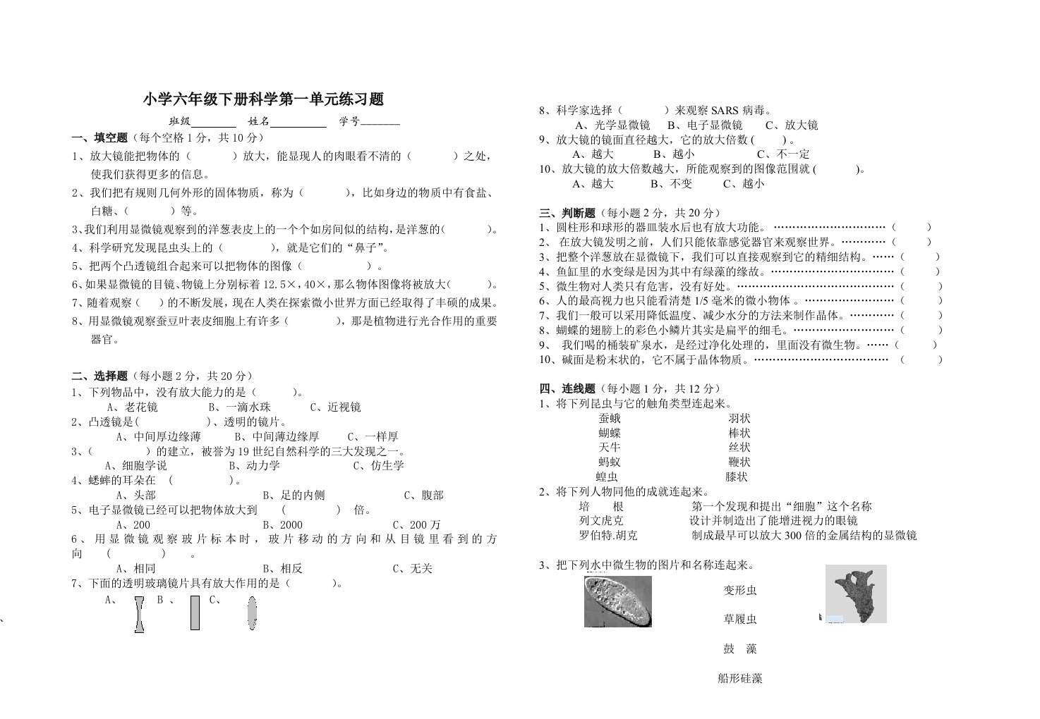 科学六年级下册试题