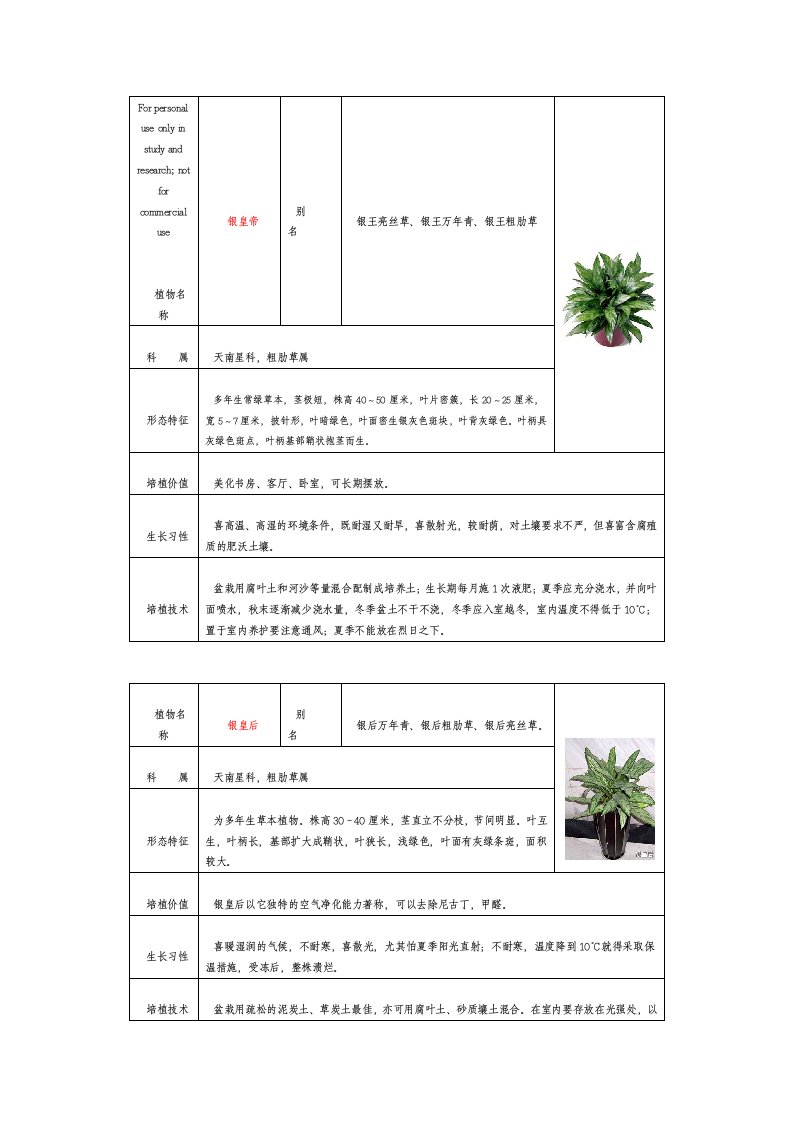 50种常见室内盆栽绿化植物简介(带图片)