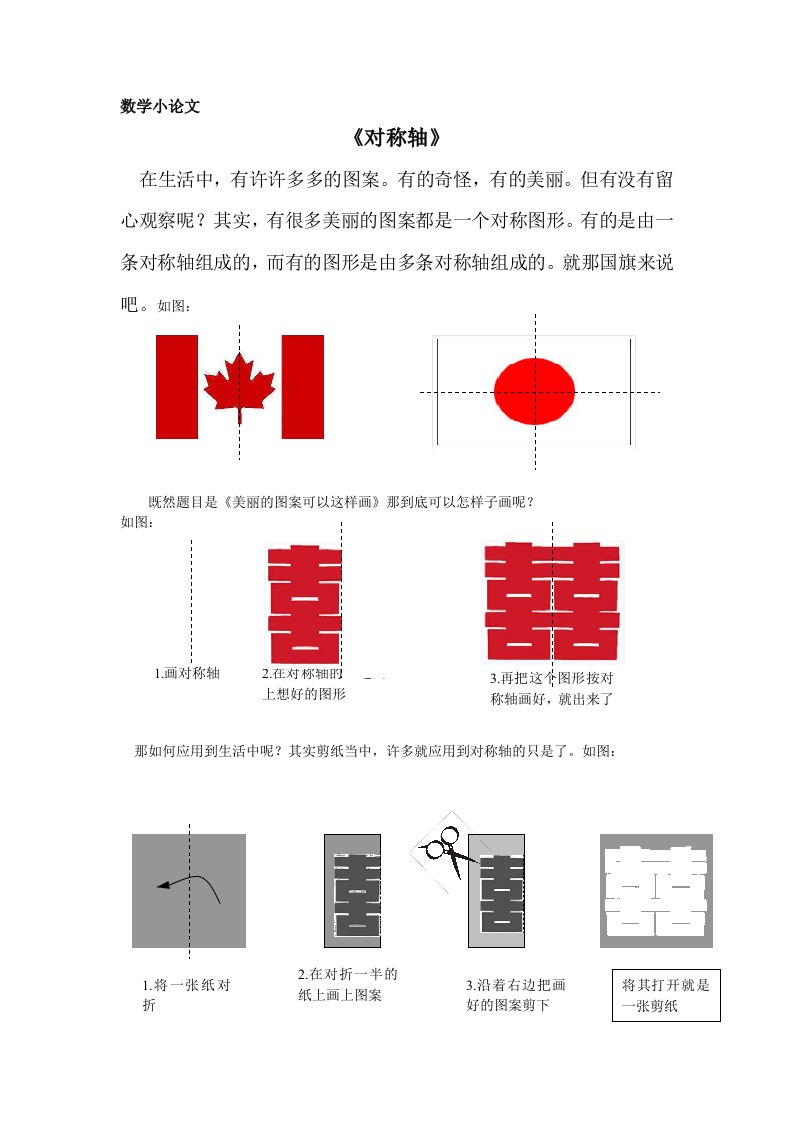 数学小论文《对称轴》