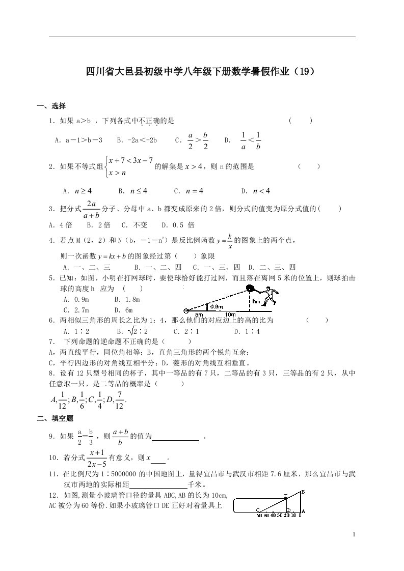 中学八年级下册数学暑假作业19