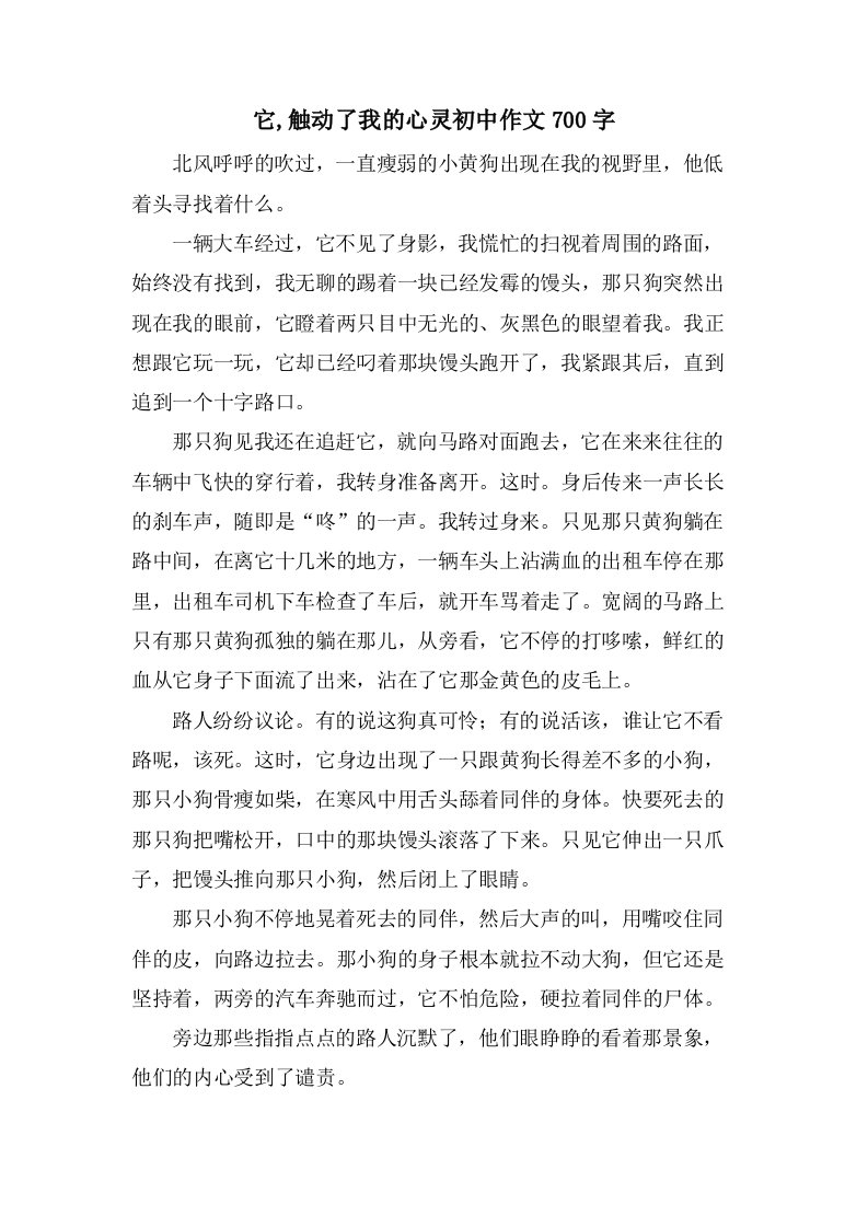 它,触动了我的心灵初中作文700字