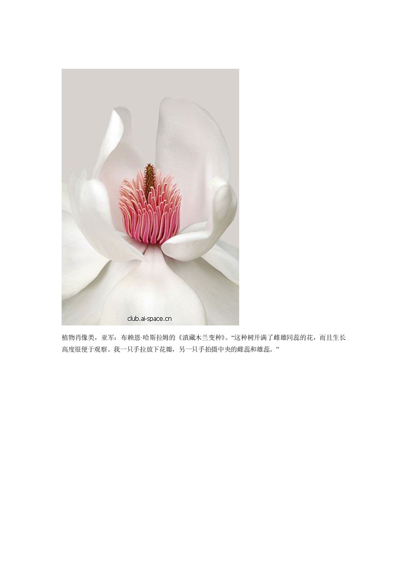 2010国际花园摄影大赛作品