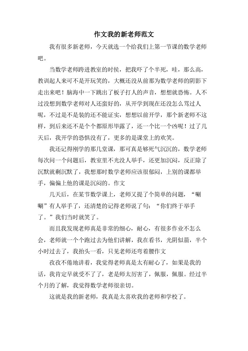 作文我的新老师范文