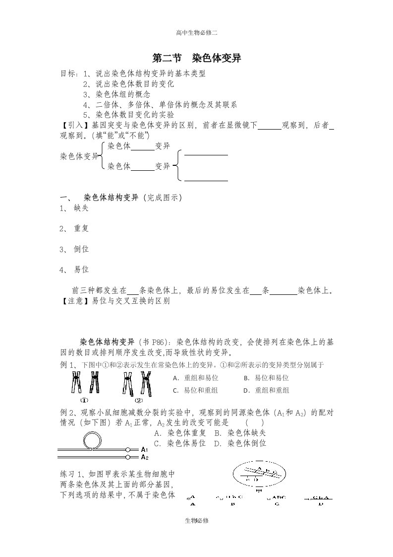 人教版教学教案染色体变异学案,快速掌握染色体变异