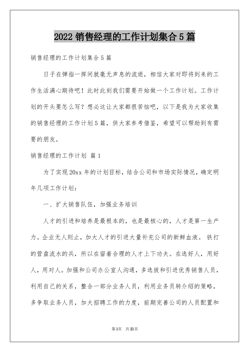 2022销售经理的工作计划集合5篇