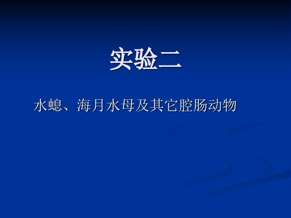 《动物学实验二水螅》PPT课件