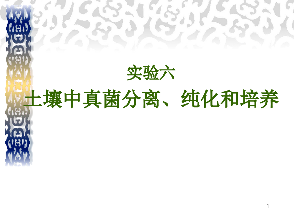 土壤中真菌纯化分离和培养ppt课件