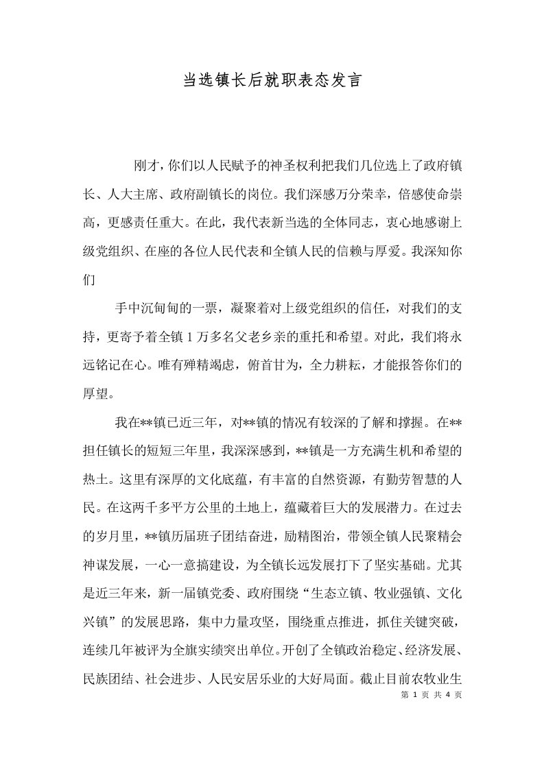 当选镇长后就职表态发言二