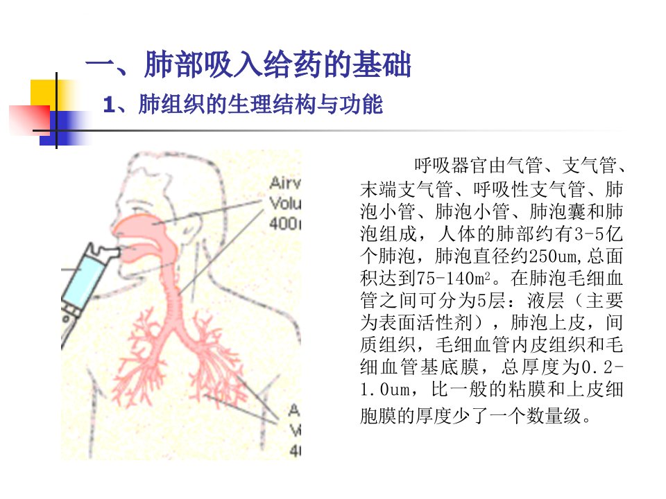 第6讲肺干粉吸入系统ppt课件