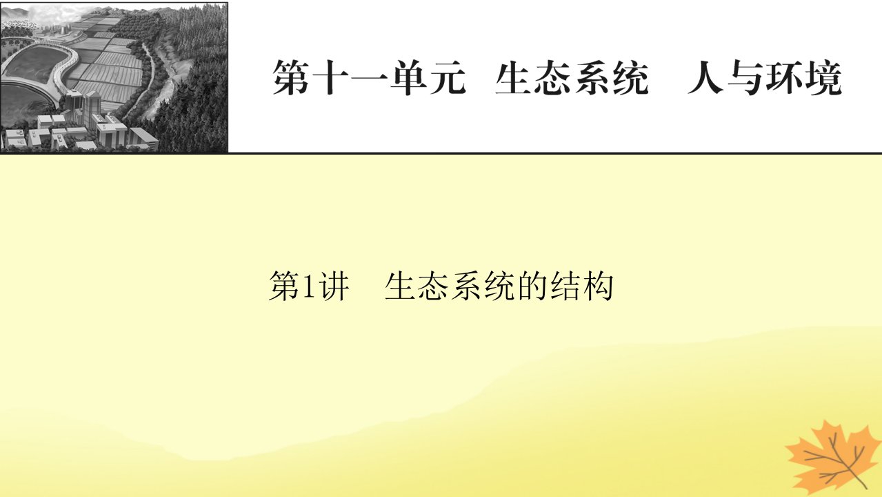 2023版高考生物一轮总复习第11单元生态系统人与环境第1讲生态系统的结构课件