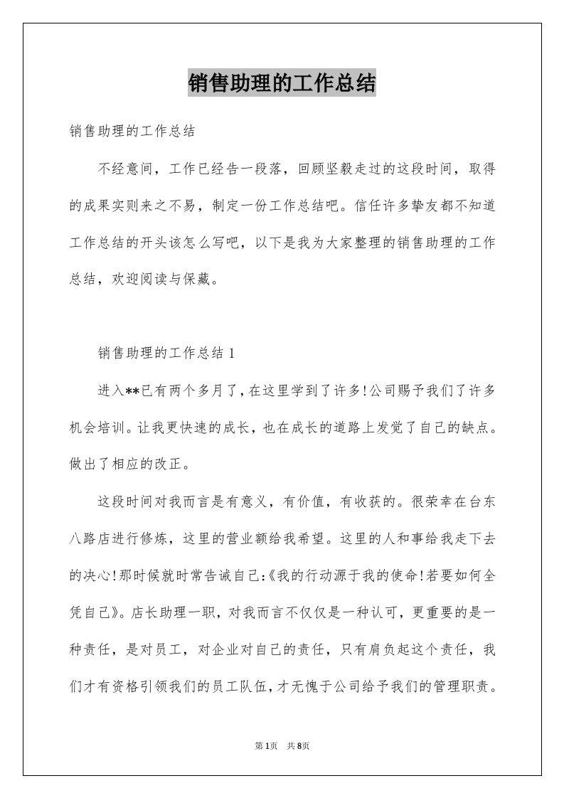 销售助理的工作总结例文