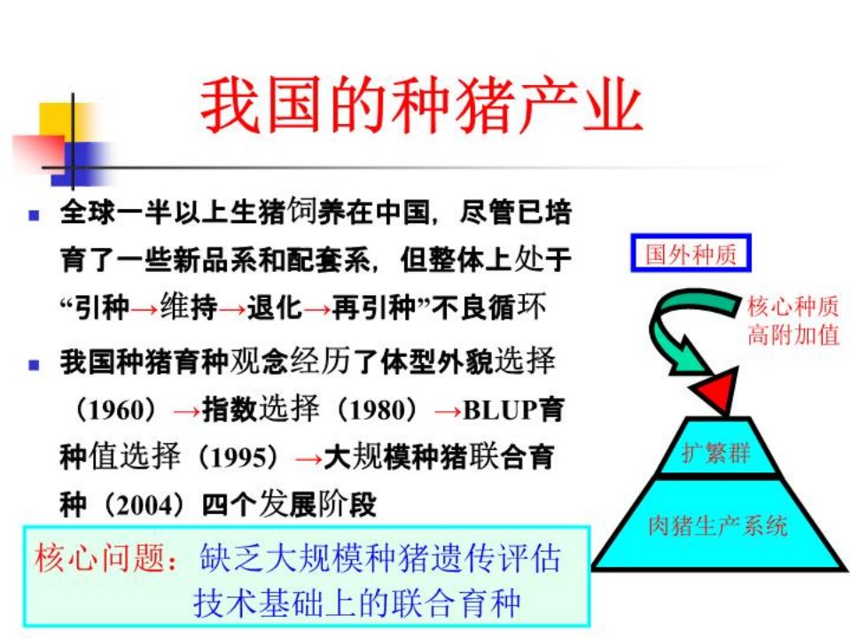 我国种猪遗讲义传评估和联合育种现状与策略ppt课件