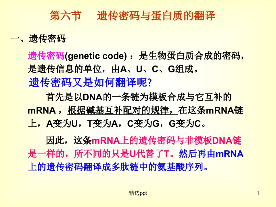 《遗传密码》PPT课件