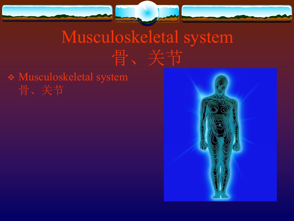 《核医学骨关节系统》PPT课件