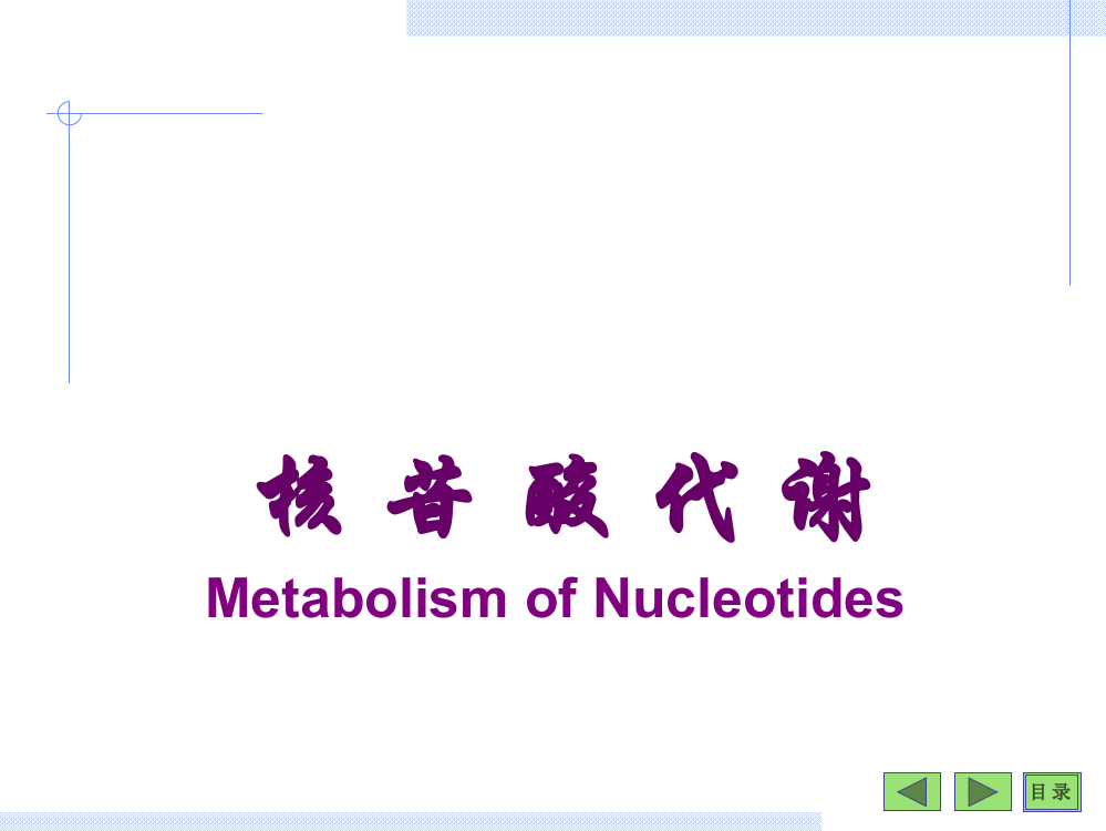 核苷酸PPT课件