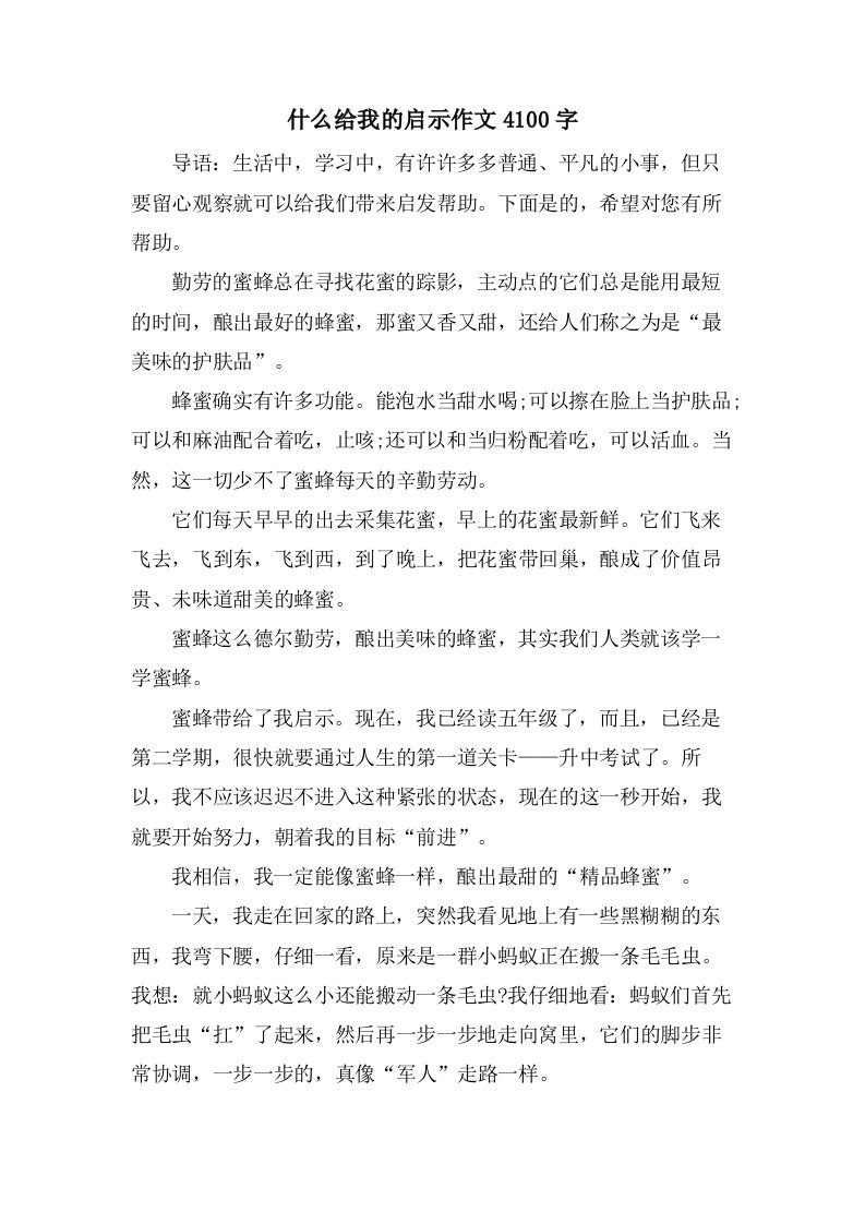 什么给我的启示作文4100字